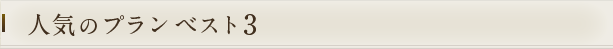 人気のプラン　ベスト3